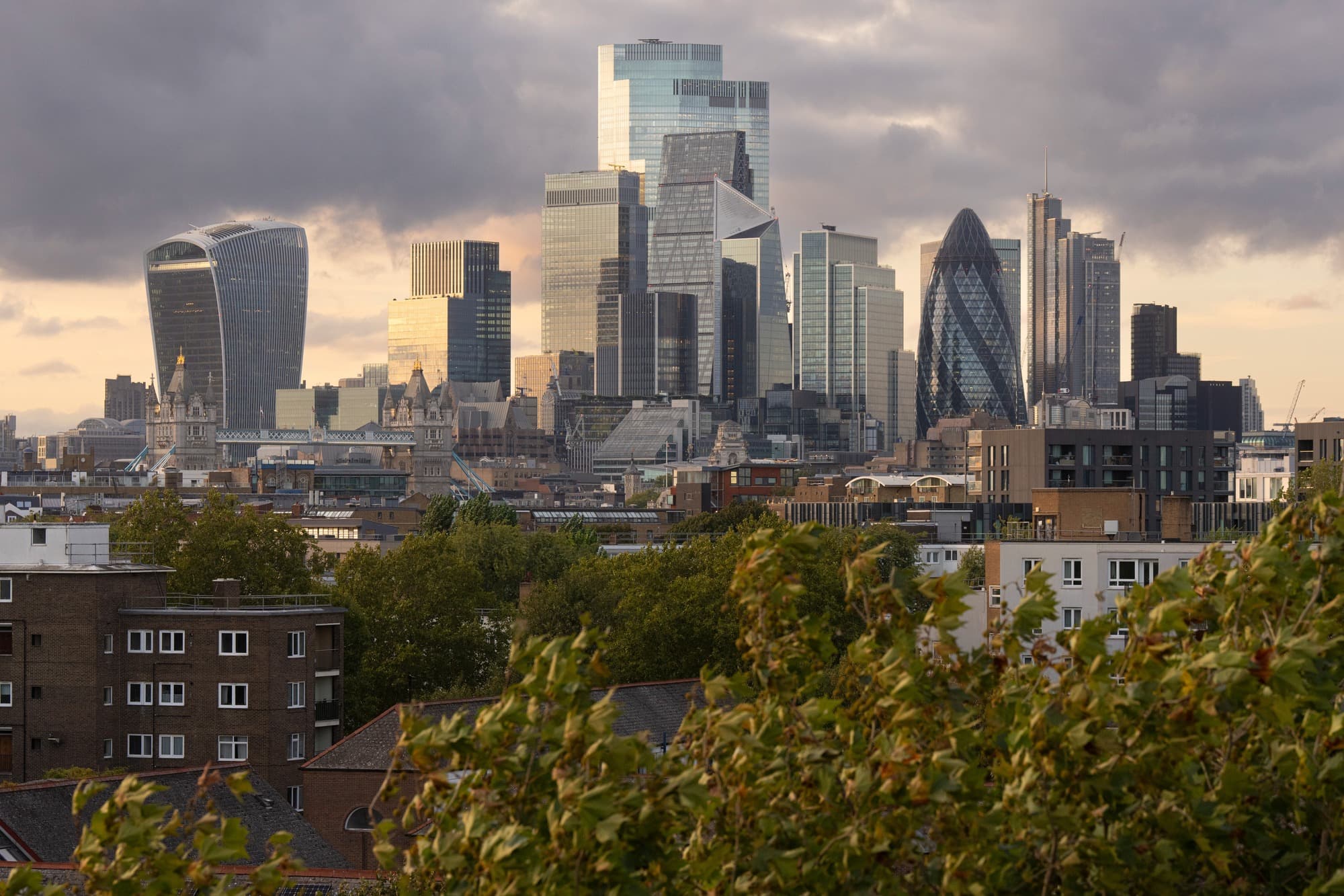 2025 09 18 1849 Mickey LF Lee MX23567 (2)